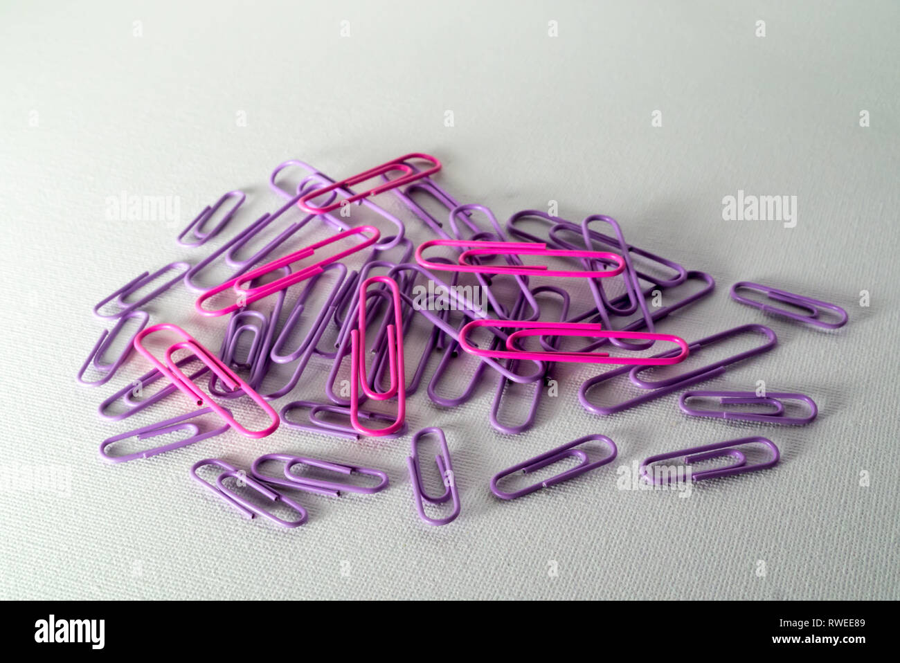 A Studio Photograph of Purple and Pink Paperclips Stock Photo