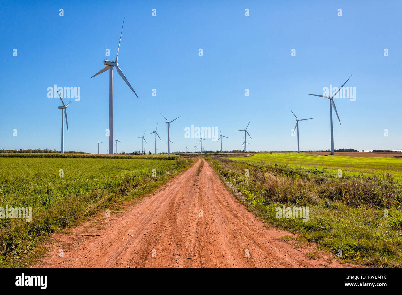 Wind turbines, West Cape, Prince Edward Island, Canada, Stock Photo