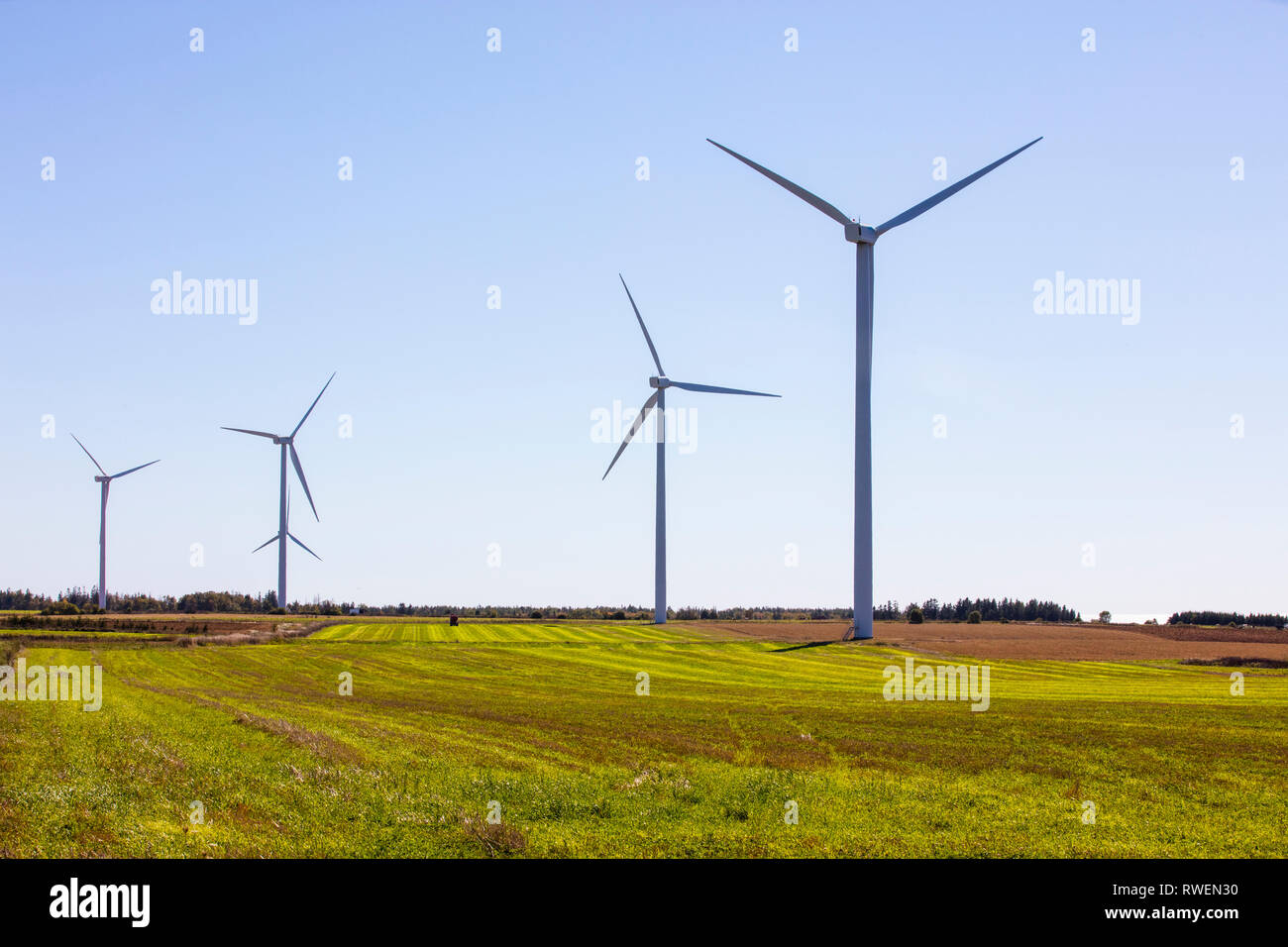 Wind turbines, West Cape, Prince Edward Island, Canada Stock Photo