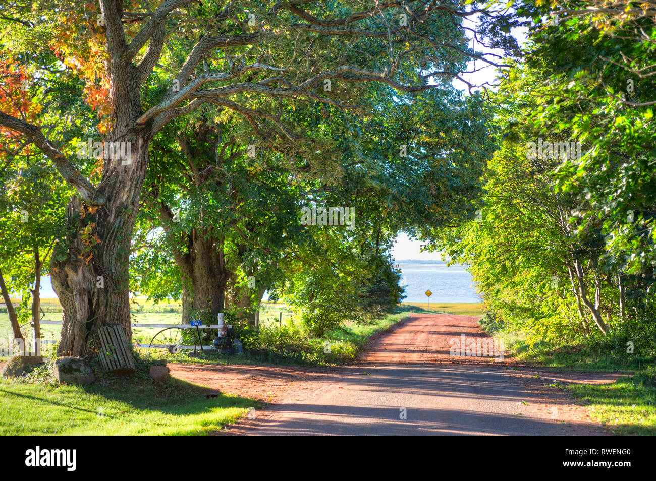 Country road, Waterside, Prince Edward Island, Canada Stock Photo
