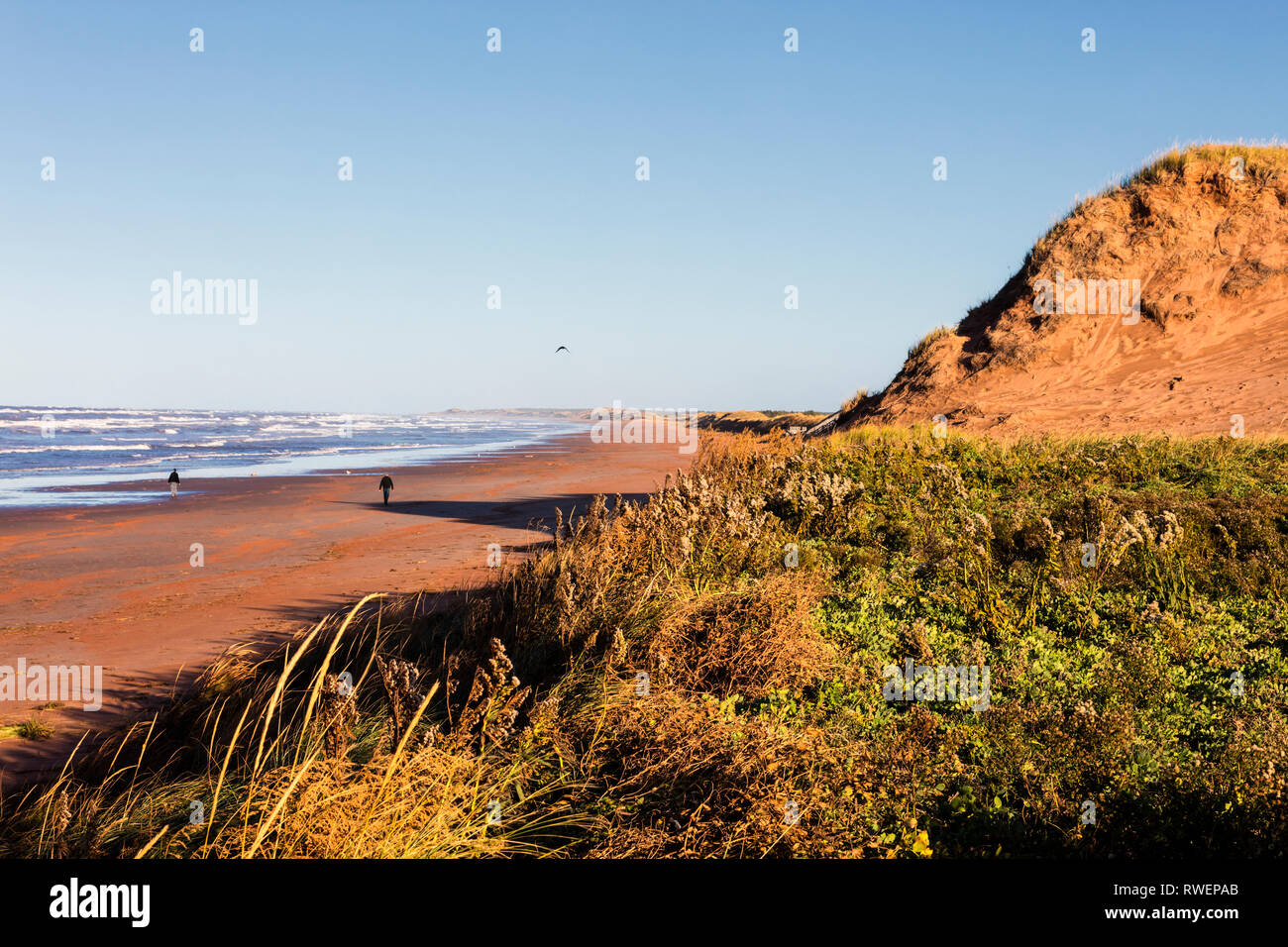 Sand Dunes, Brackley Beach, Prince Edward Island National Park, Canada