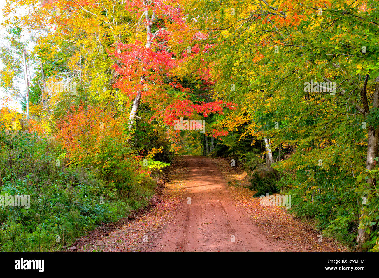 Red clay country road, St. Catherines, Prince Edward Island, Canada Stock Photo