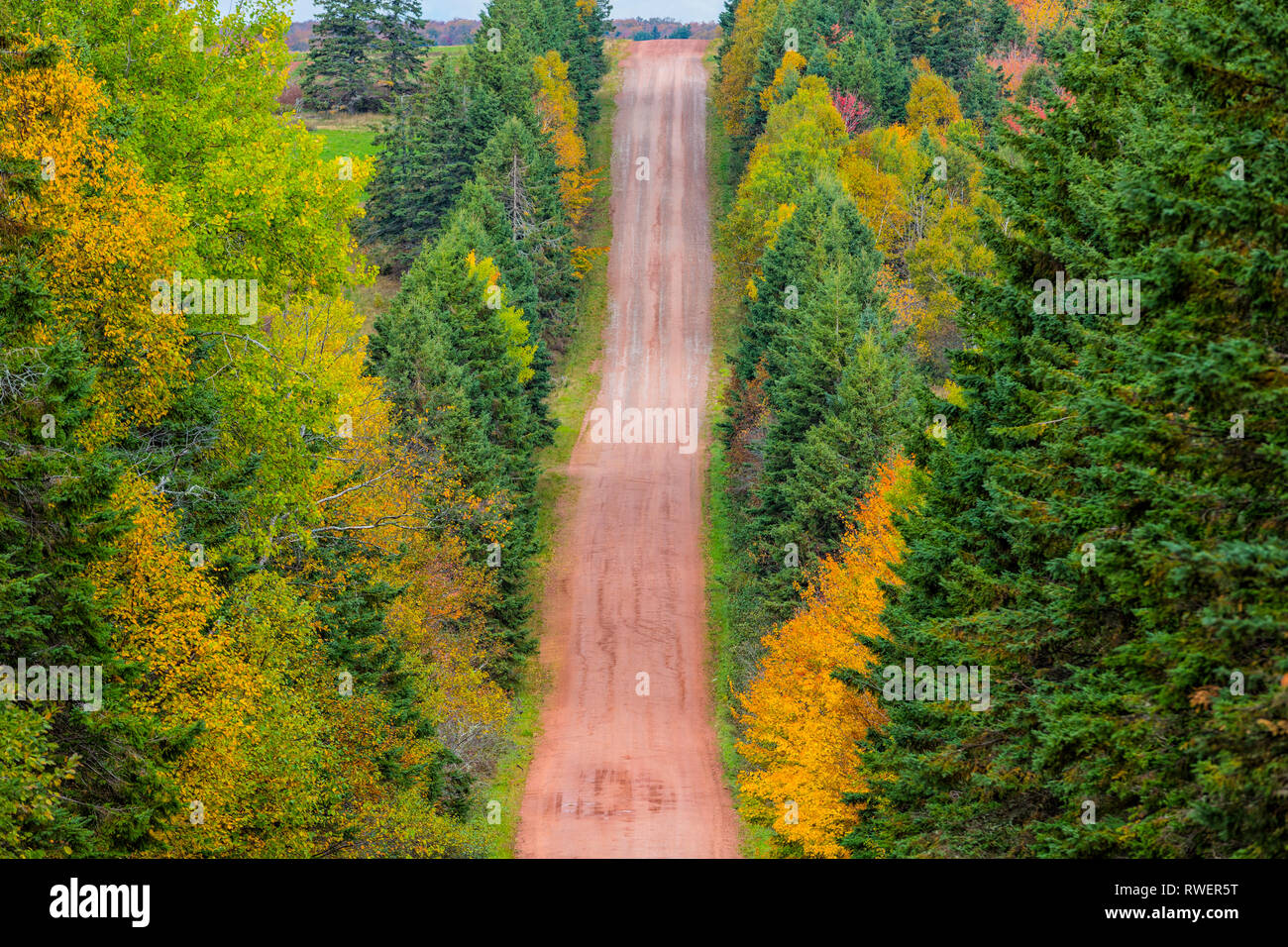 Peters Road, North Wiltshire,, Prince Edward Island, Canada Stock Photo