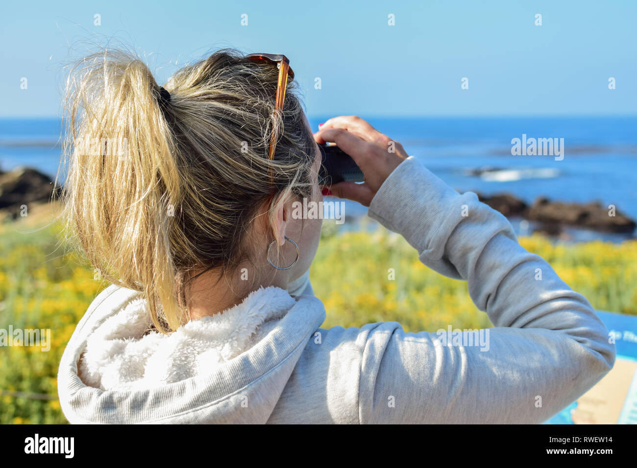 Young woman looking through binoculars at the seaside in summer. Whale ...