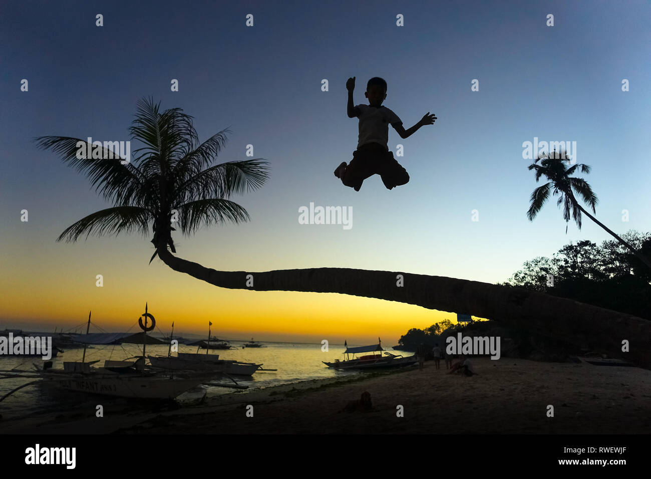 Boy Playing and Jumping off Palm Tree at Sunset - Panglao - Bohol, Philippines Stock Photo