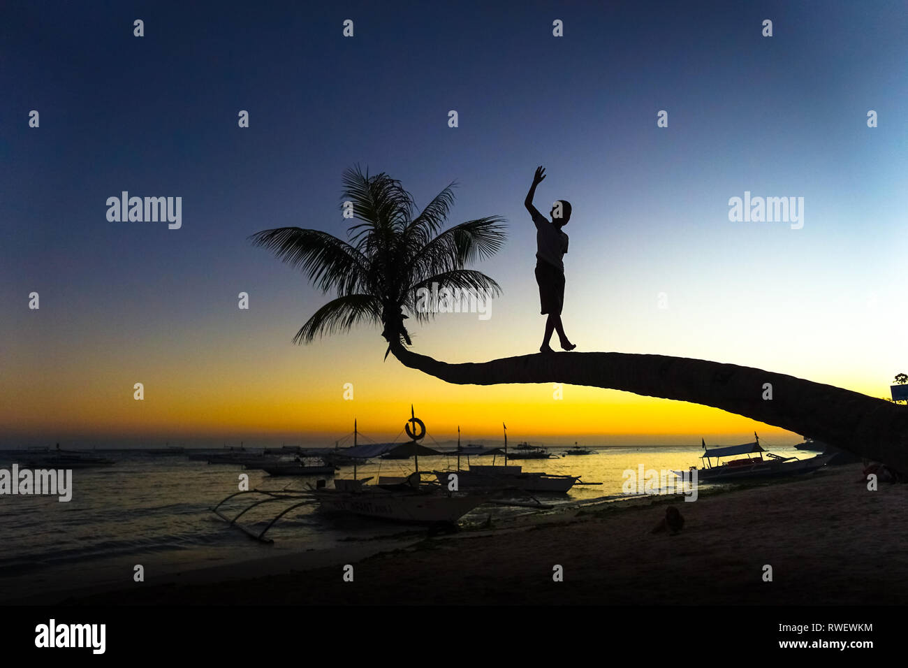Boy Climbing & Balancing on Palm Tree at Sunset - Panglao - Bohol, Philippines Stock Photo