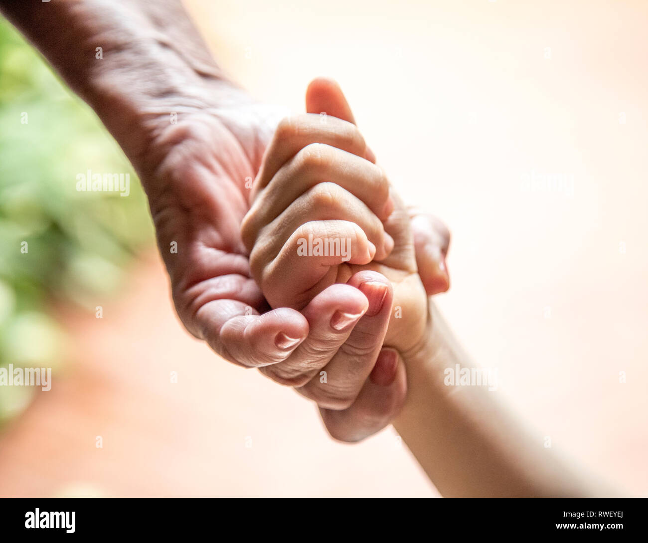 hand of an elderly woman holding a child's hand Stock Photo - Alamy