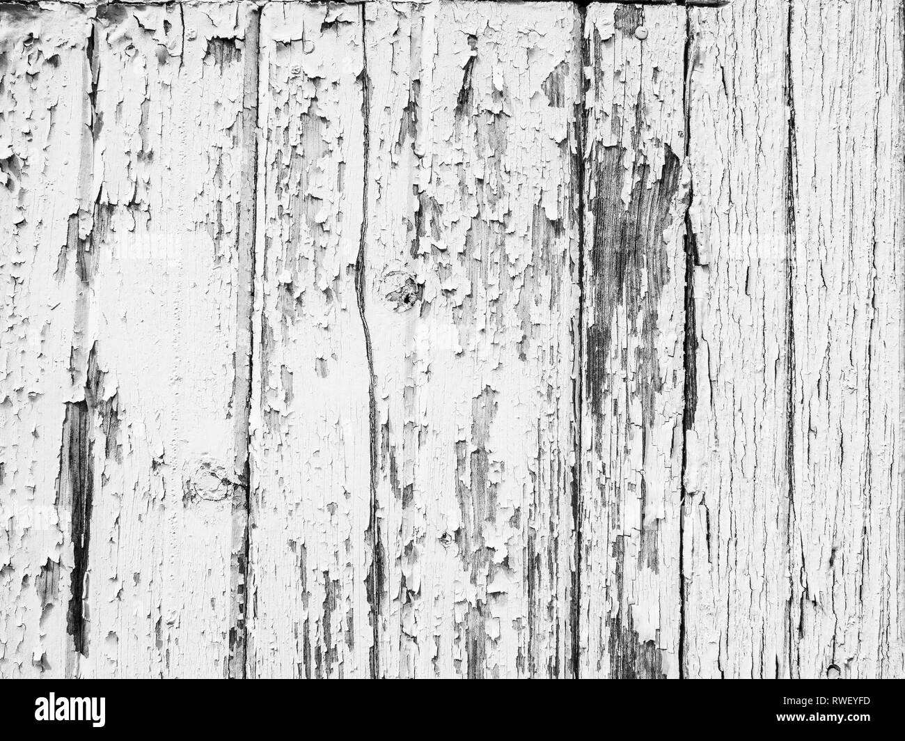 Peeling paint flakes on a white wooden wall high resolution background digital wallpaper abstract weathered texture Stock Photo