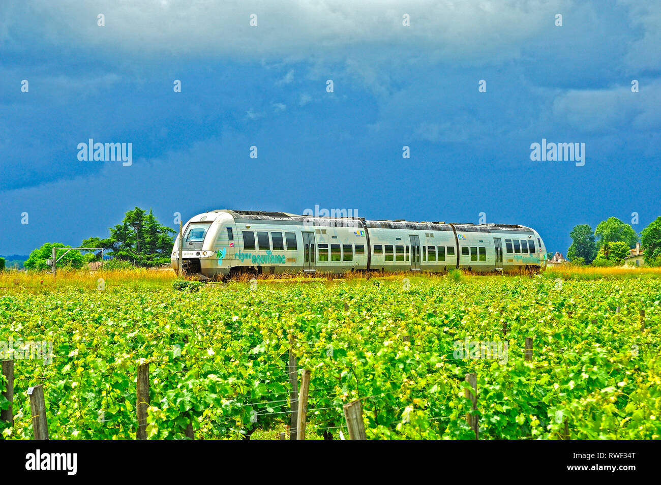train passing a vineyard, Saint-Emilion, Gironde Department, Aquitaine, France Stock Photo