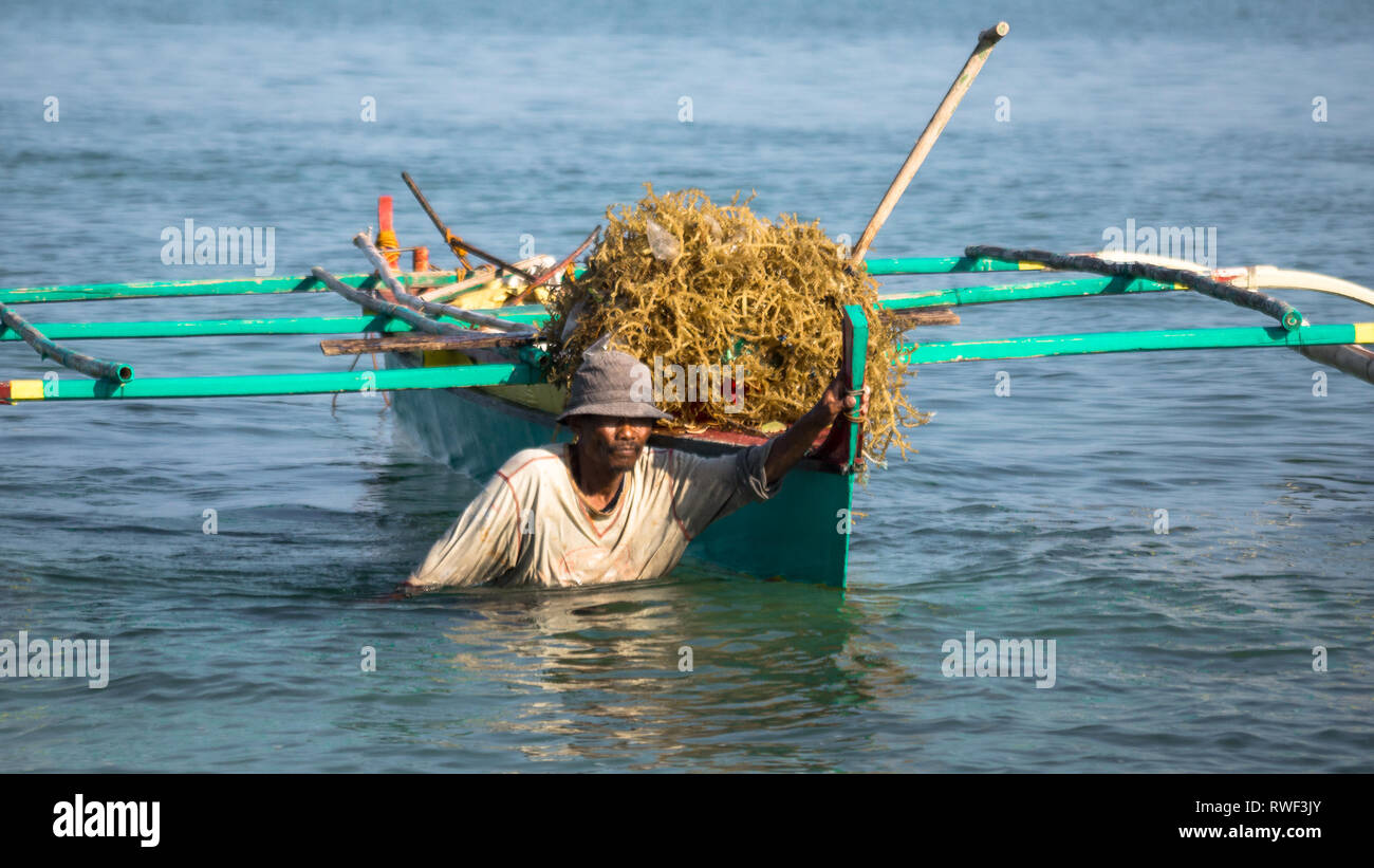 Native Fisherman Wading and Dragging Small Boat Full of Seaweed - Caramoan, Philippines Stock Photo
