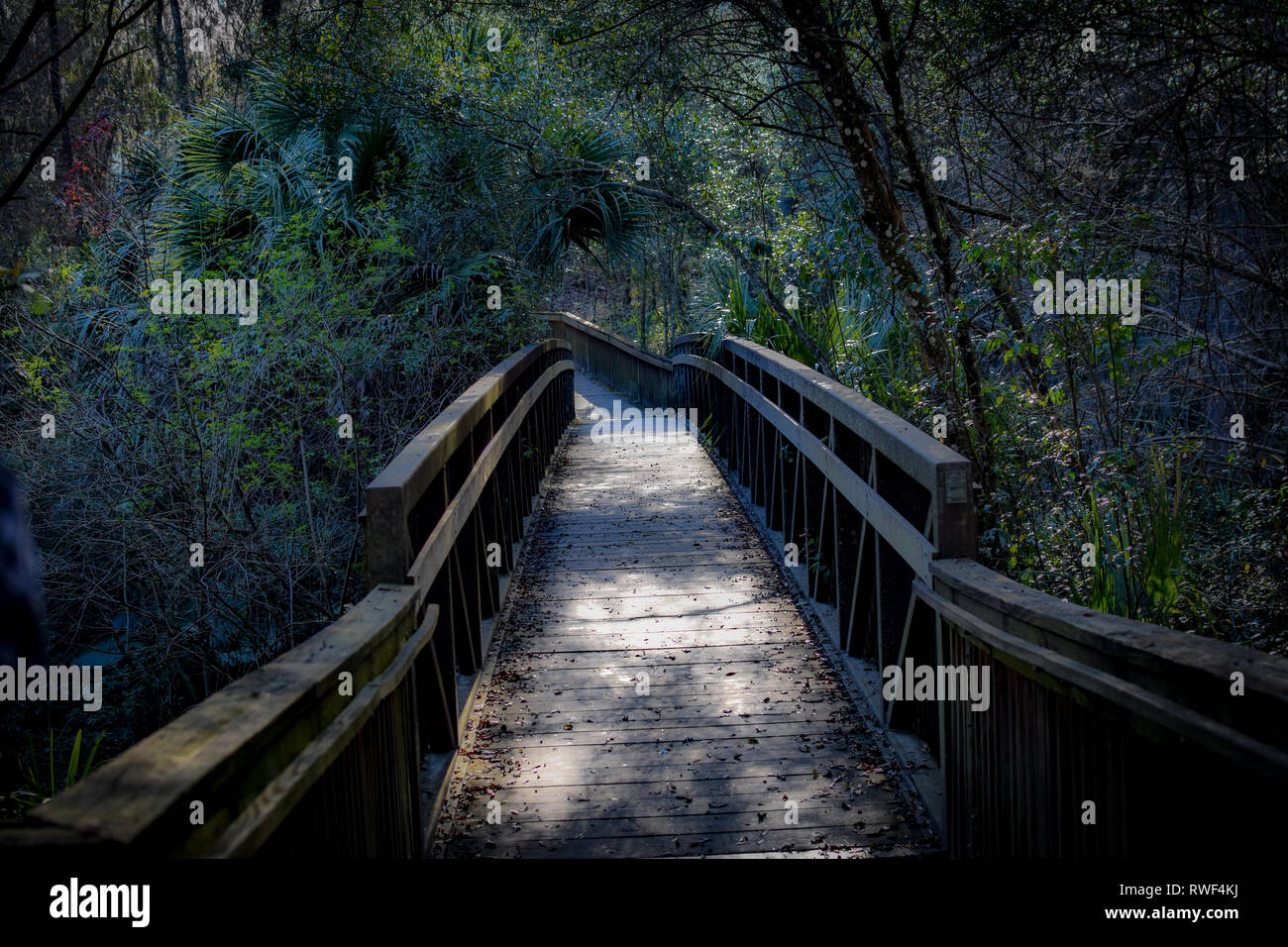 bridge into a park in Florida Stock Photo