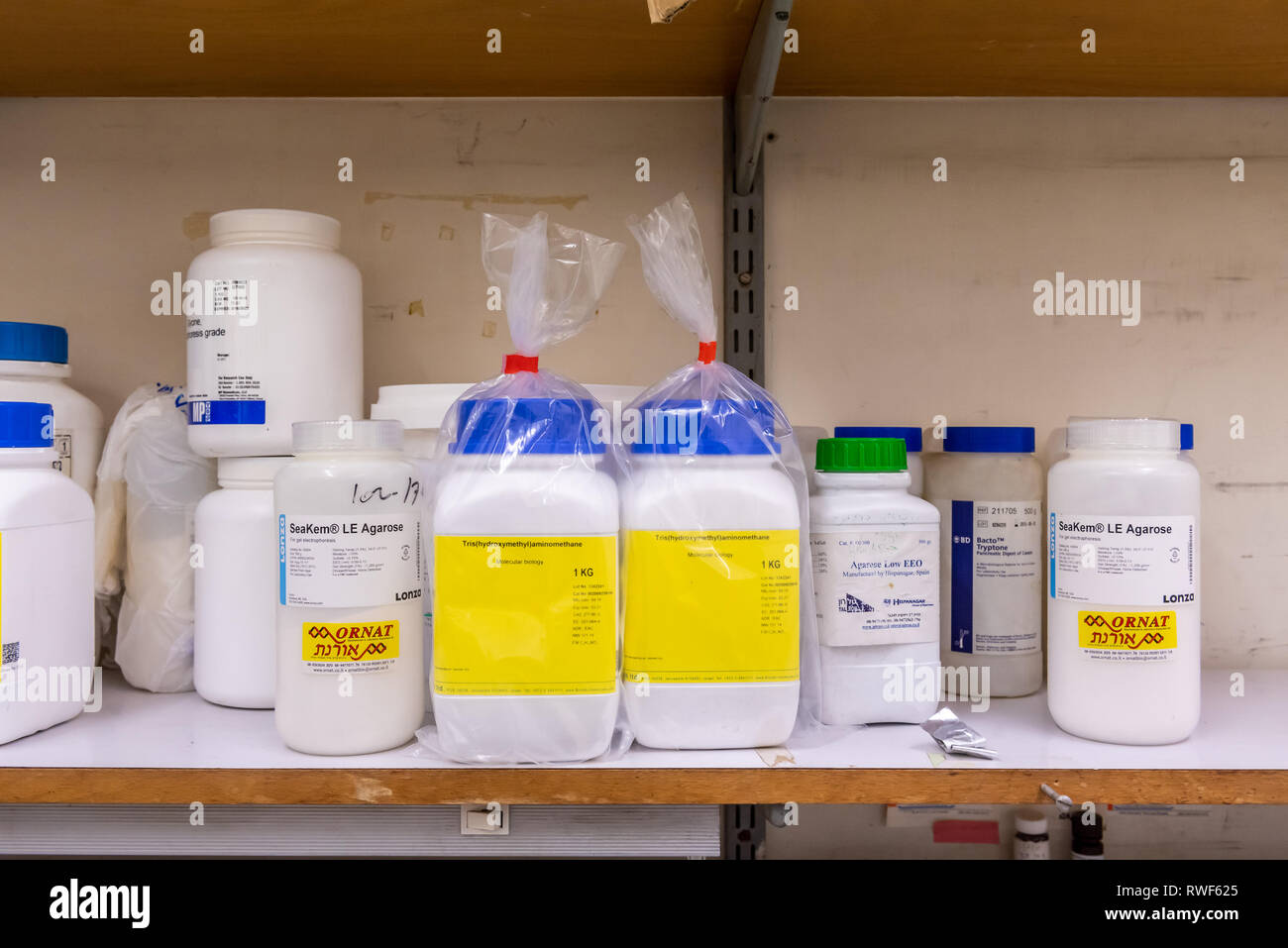 Chemical reagents in a laboratory for drug research Stock Photo