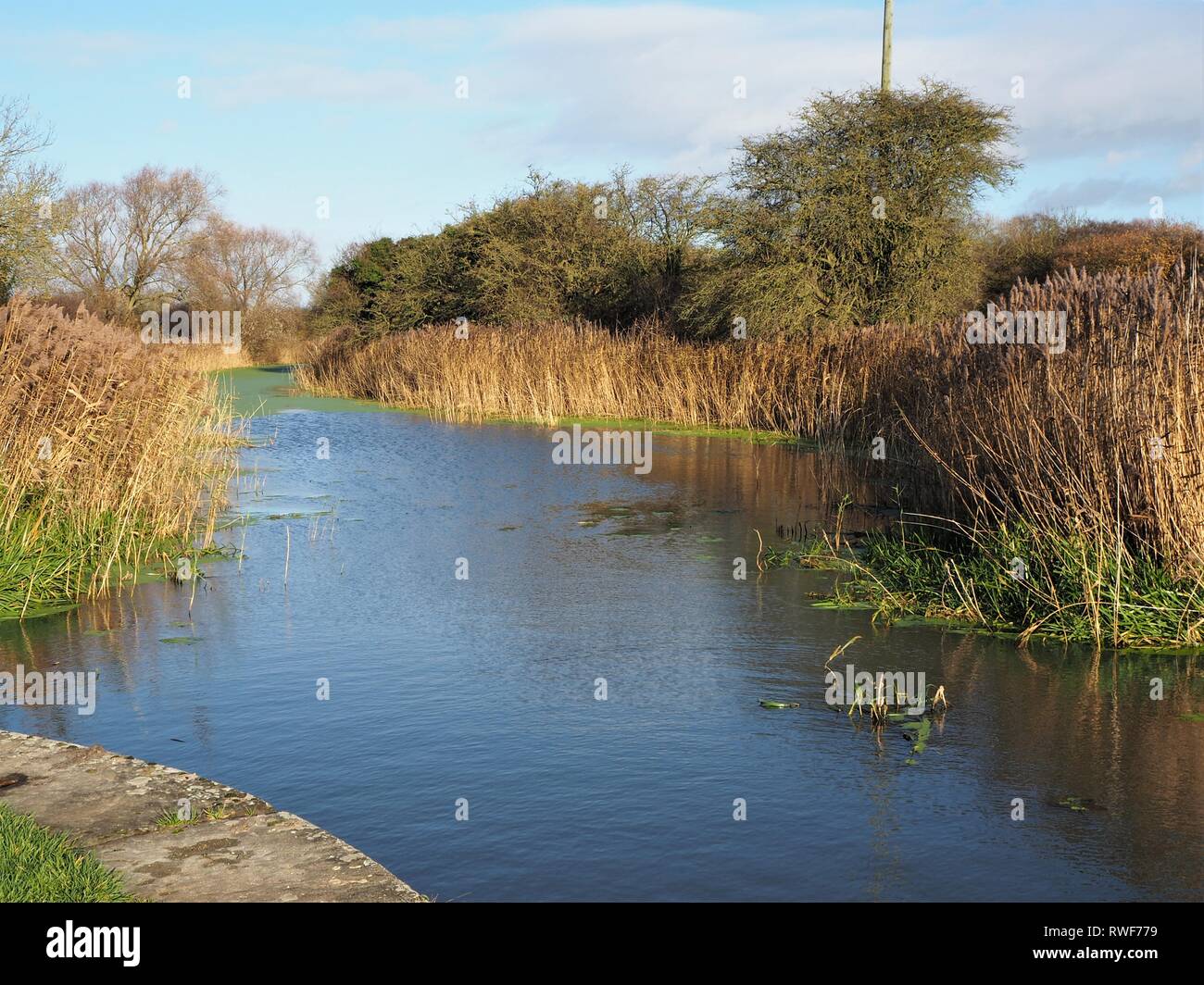 Pocklington hires stock photography and images Alamy