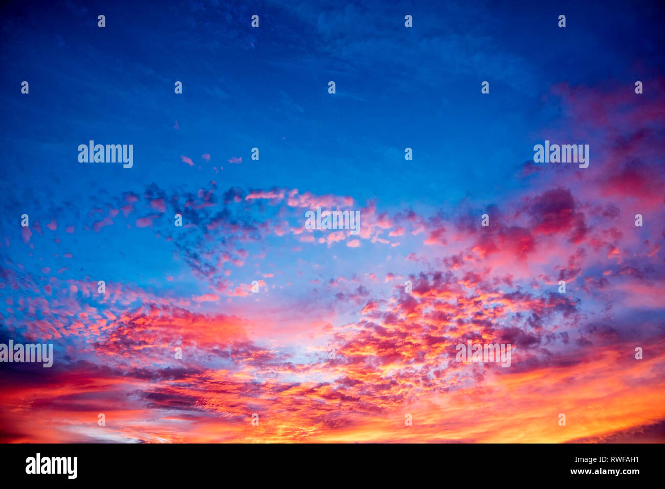 The magnificent deep blue color of the sky and golden yellow and orange