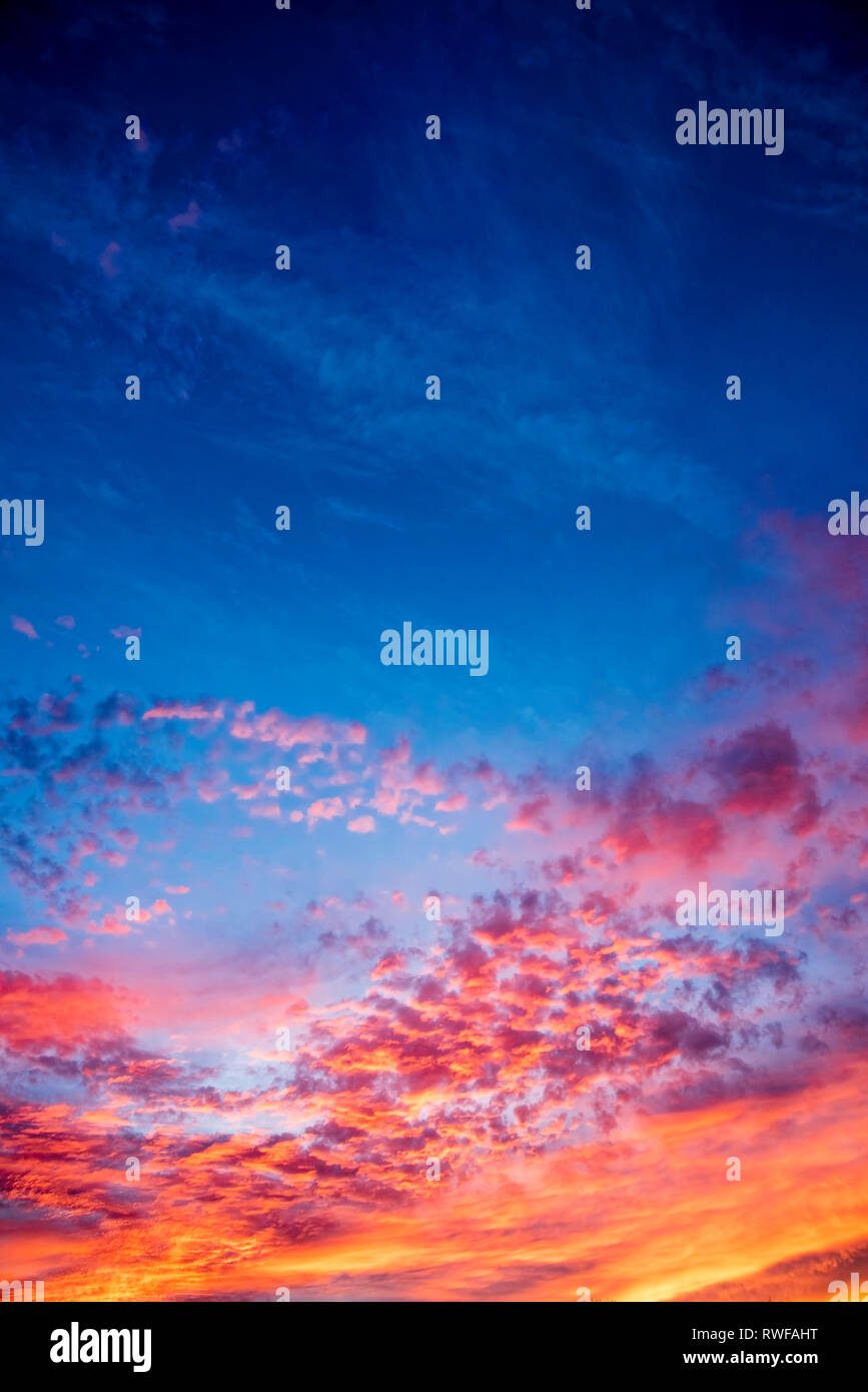 The magnificent deep blue color of the sky and golden yellow and orange