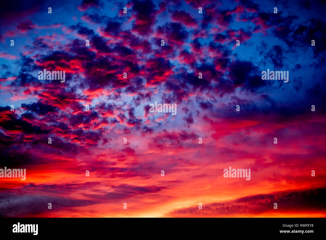 The magnificent deep blue color of the sky and golden yellow and orange