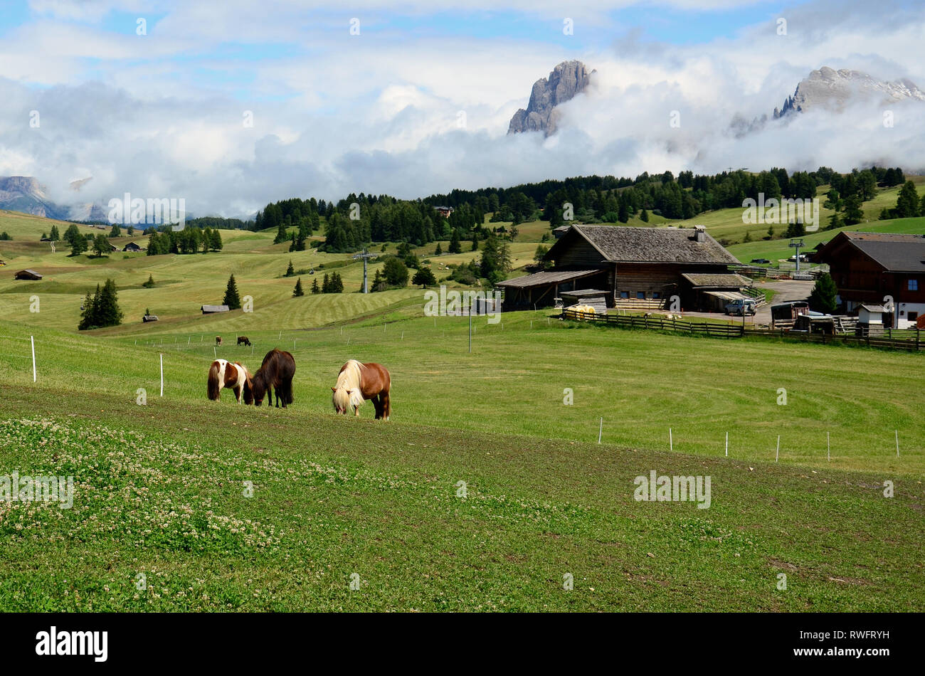 parco naturale del gruppo di tessa