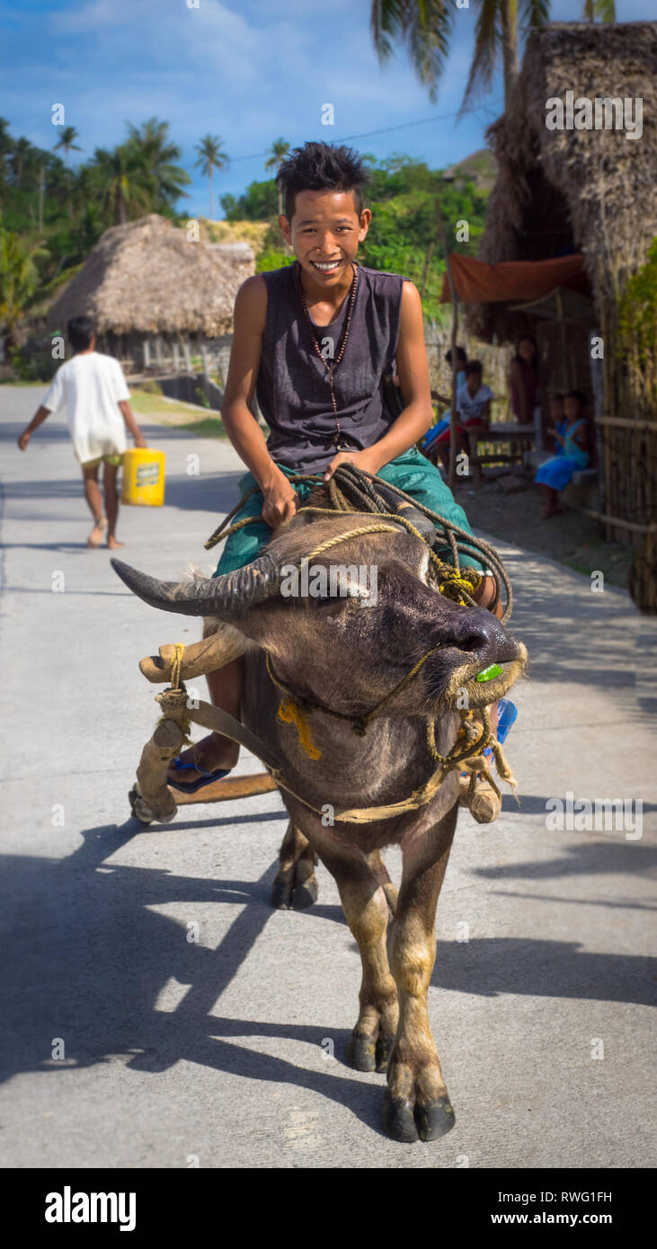 Teen Boy Riding Water Buffalo in Village Streets, Donsol - Sorsogon, Philippines Stock Photo