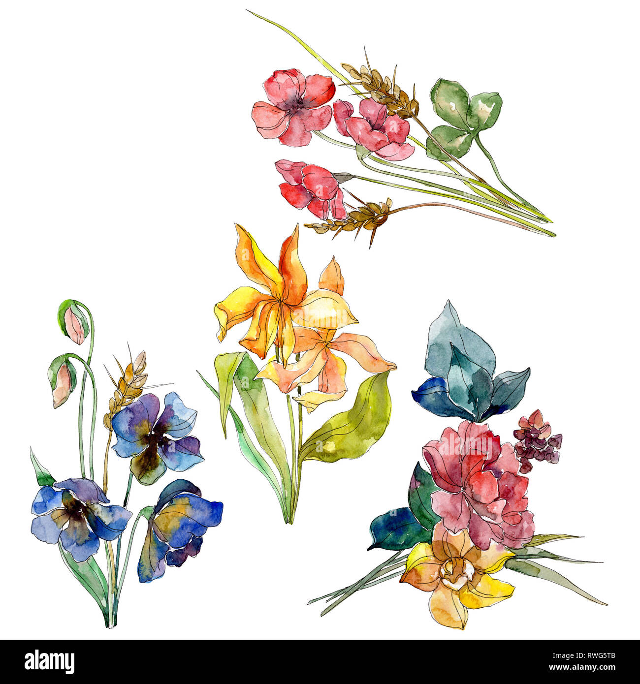 Wildflower illustration hi-res stock photography and images - Alamy Wildflower illustration hi-res stock photography and images - Alamy