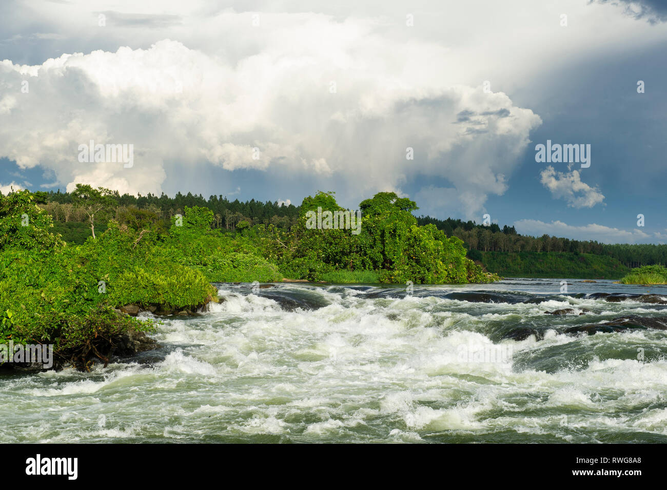 Rapids on the Upper Nile, Kalagala, Uganda Stock Photo