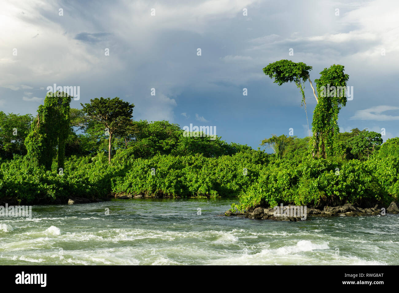 Rapids on the Upper Nile, Kalagala, Uganda Stock Photo