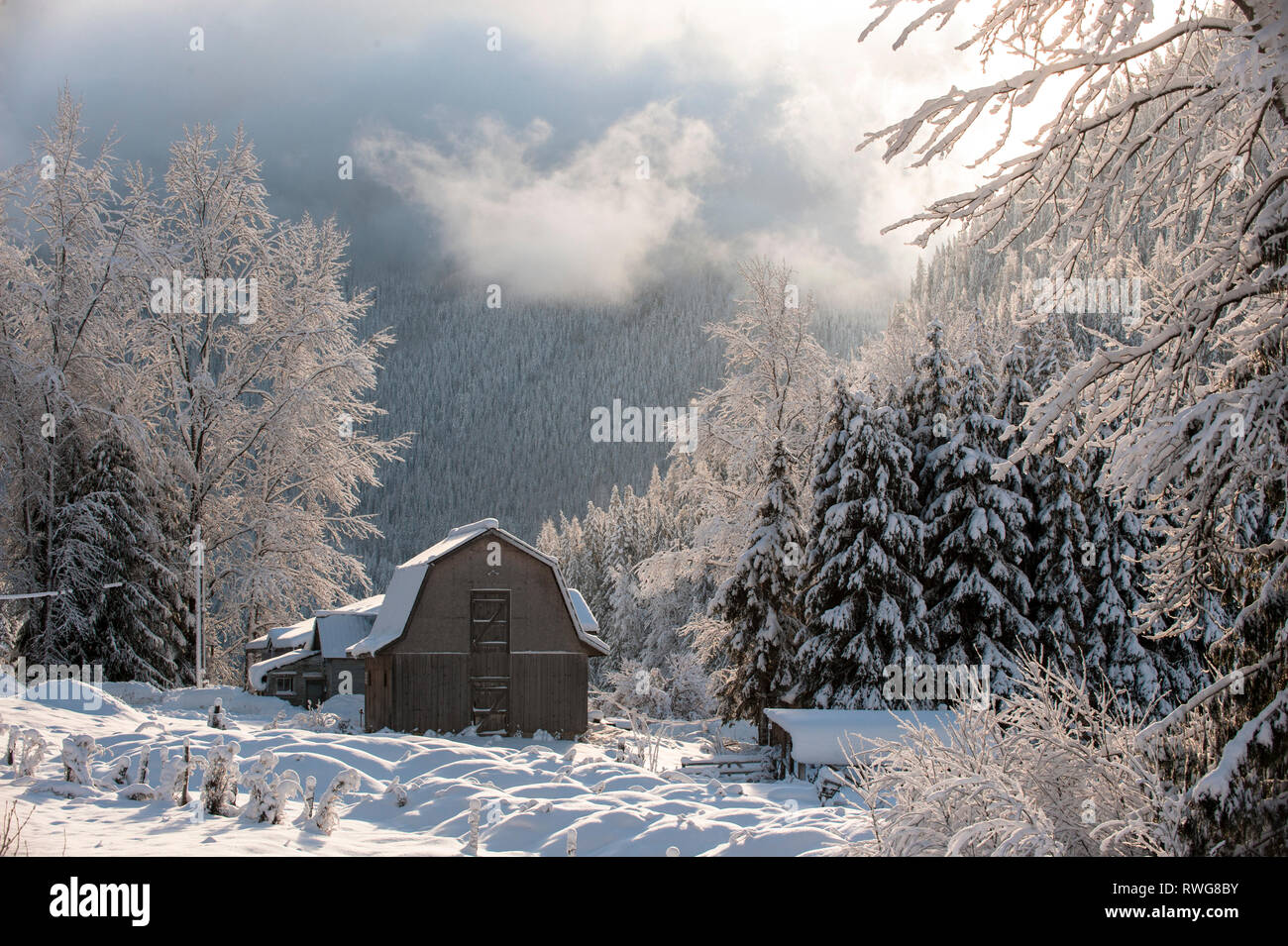 Winter Barn and frosty trees in morning light. Near Nelson, BC, Canada Stock Photo