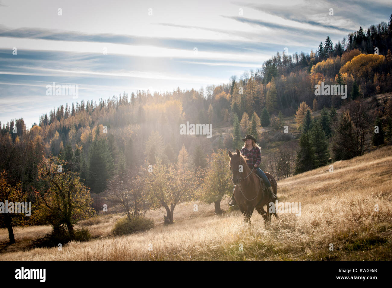 Blond female riding horseback, western, autumn, Rossland BC, Canada Stock Photo