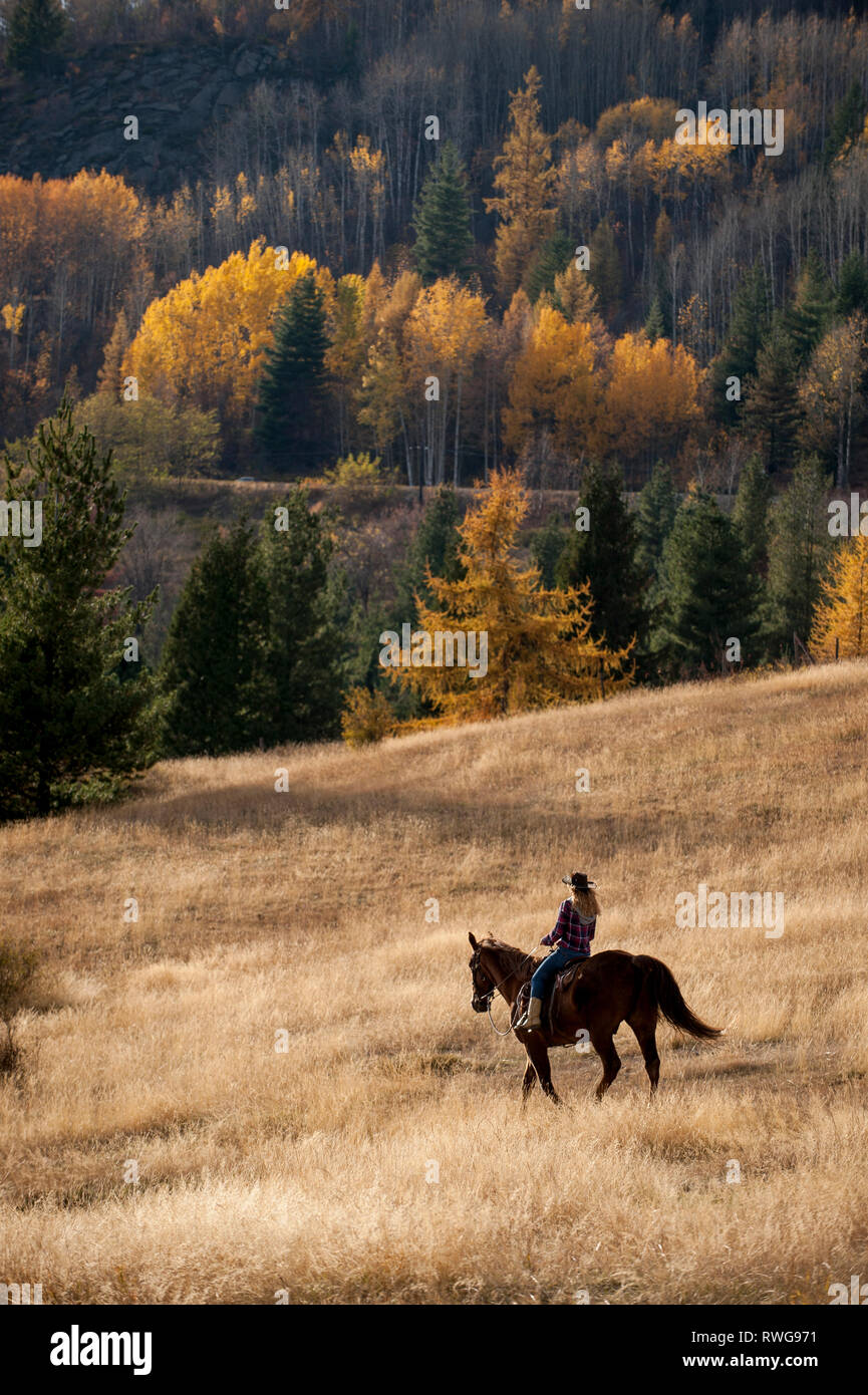 Blond female riding horseback, western, autumn, Rossland BC, Canada Stock Photo