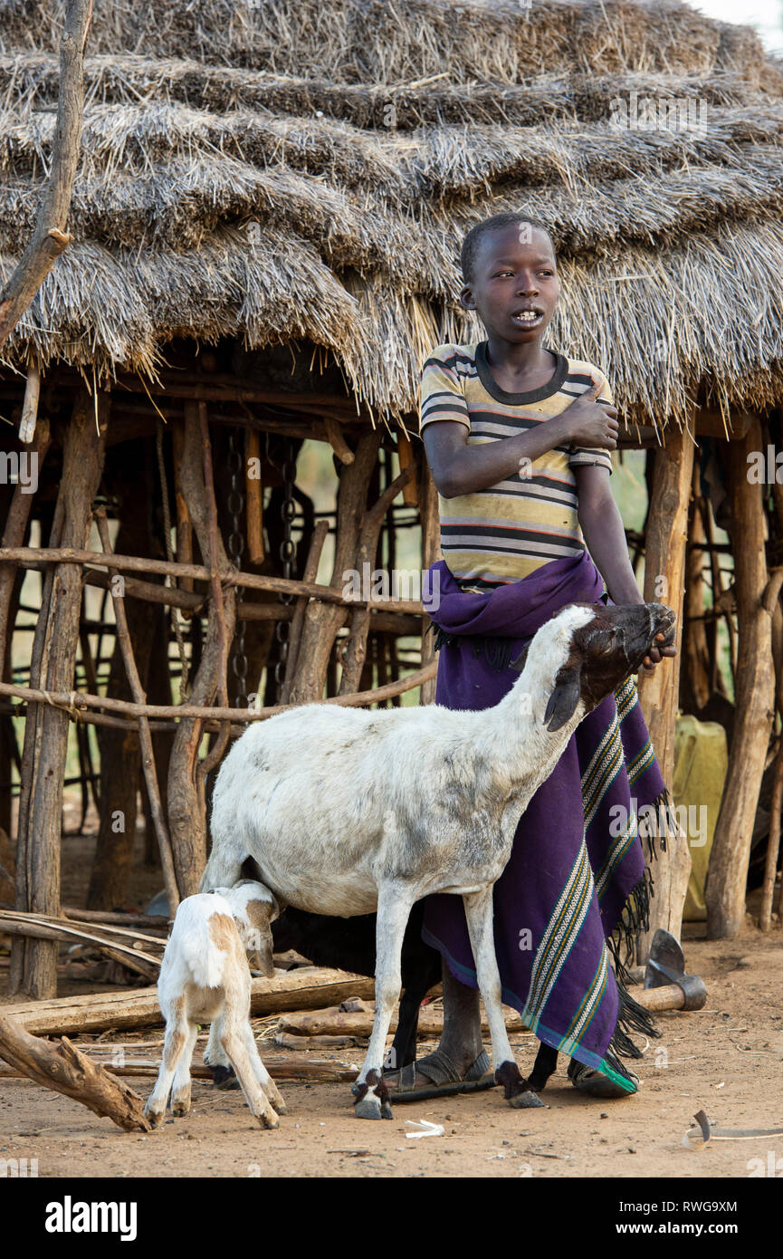 Karamojong boy with sheep in the village, northern Uganda Stock Photo