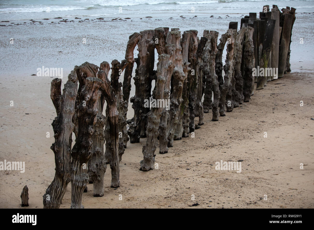Big Breakwater 3000 Trunks To Defend The City From The