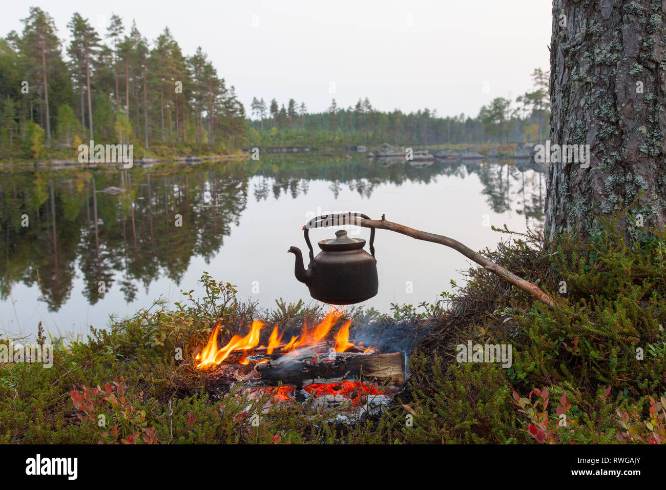 Tin kettle on the camp fire. Vaermland, Sweden Stock Photo