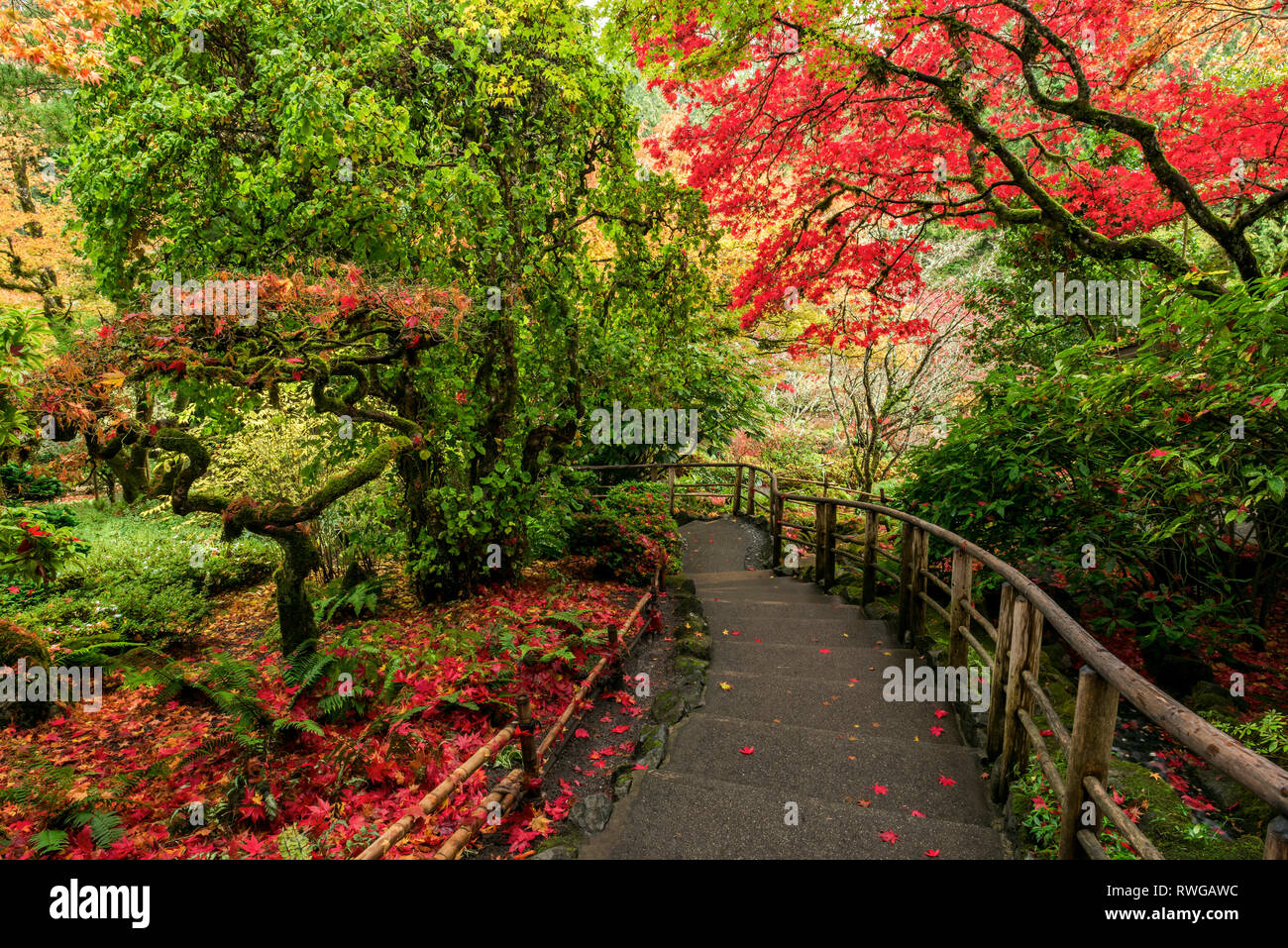 Japanese Garden, Butchart Gardens, Central Saanich,(Victoria), BC, Canada Stock Photo