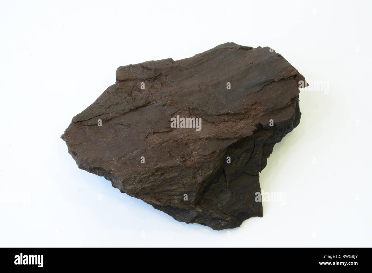 Lignite or brown coal. Piece with faintly recognizable wood structure. Germany Stock Photo