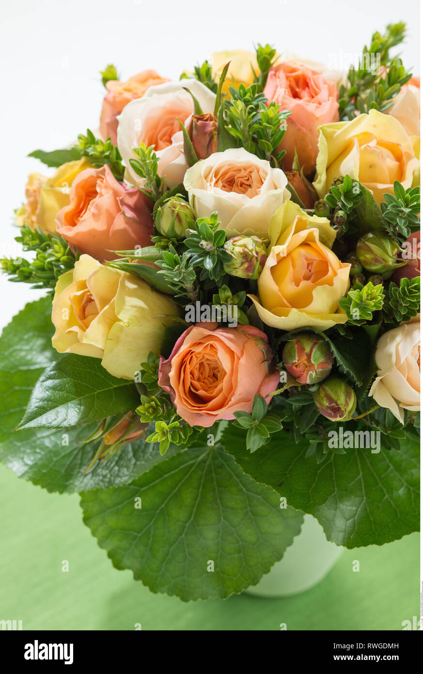 botany, bouquet of roses in salmon, Caution! For Greetingcard-Use / Postcard-Use In German Speaking Countries Certain Restrictions May Apply Stock Photo