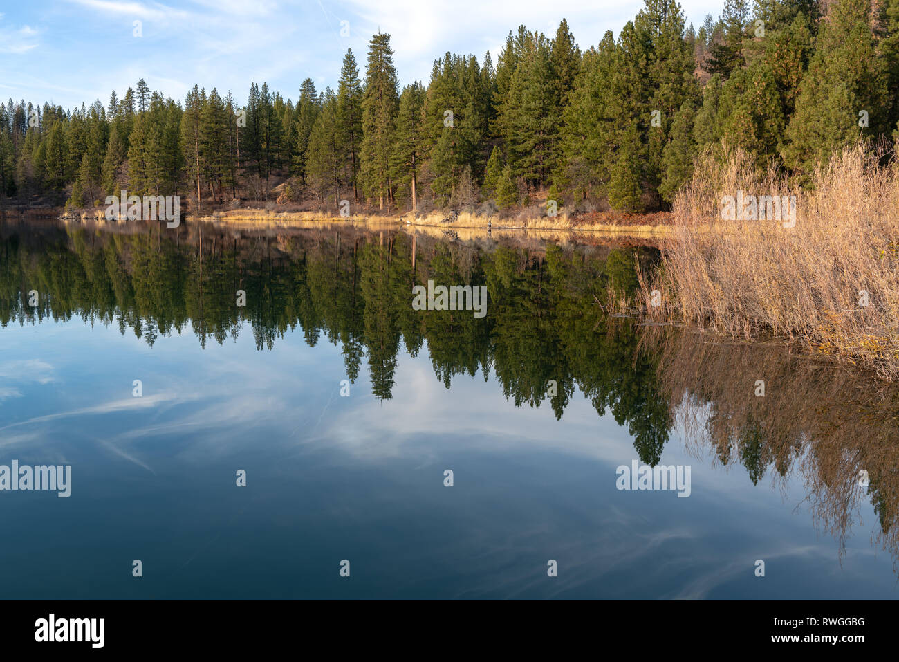 Trees reflected in Lake Britton in McArthur Burney Falls Memorial State Park, California, USA Stock Photo