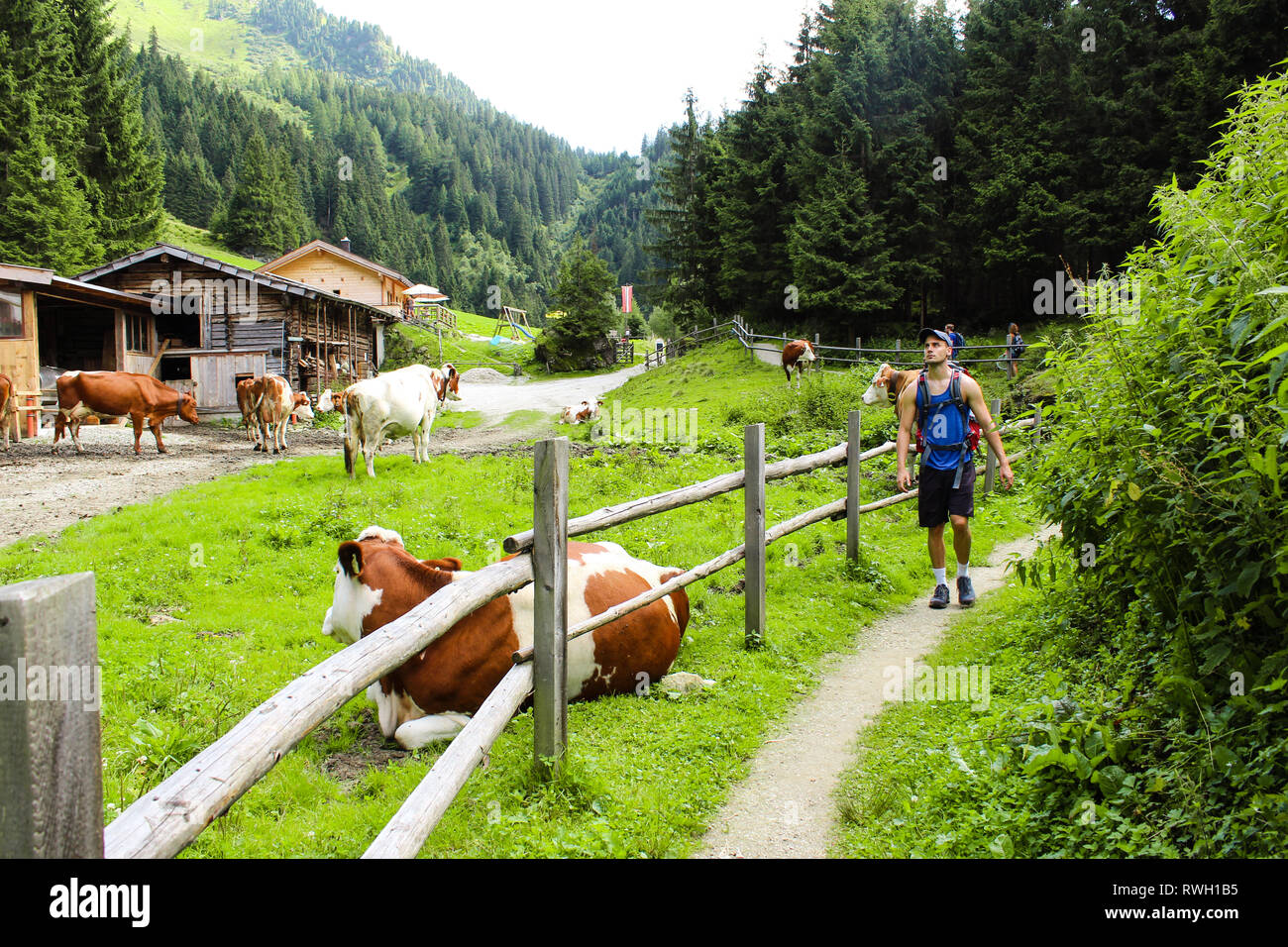 hiking trail in the Hohe Tauern national park Stock Photo