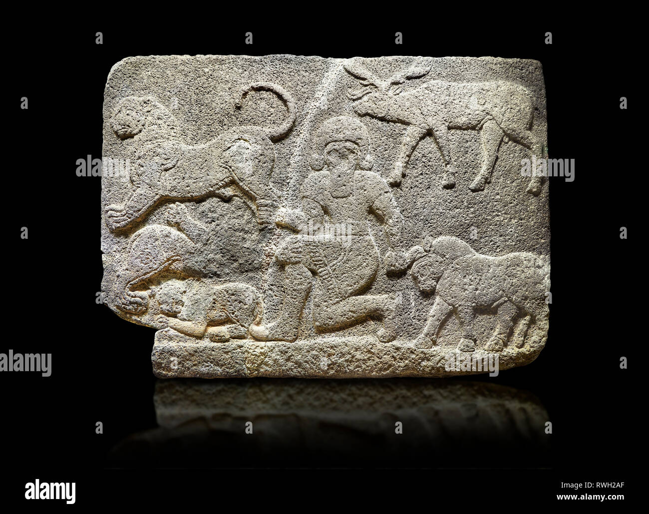 Photo of Hittite relief sculpted orthostat stone panel of Herald's Wall Basalt, Karkamıs, (Kargamıs), Carchemish (Karkemish), 900700 B.C. Anatolian Ci Stock Photo