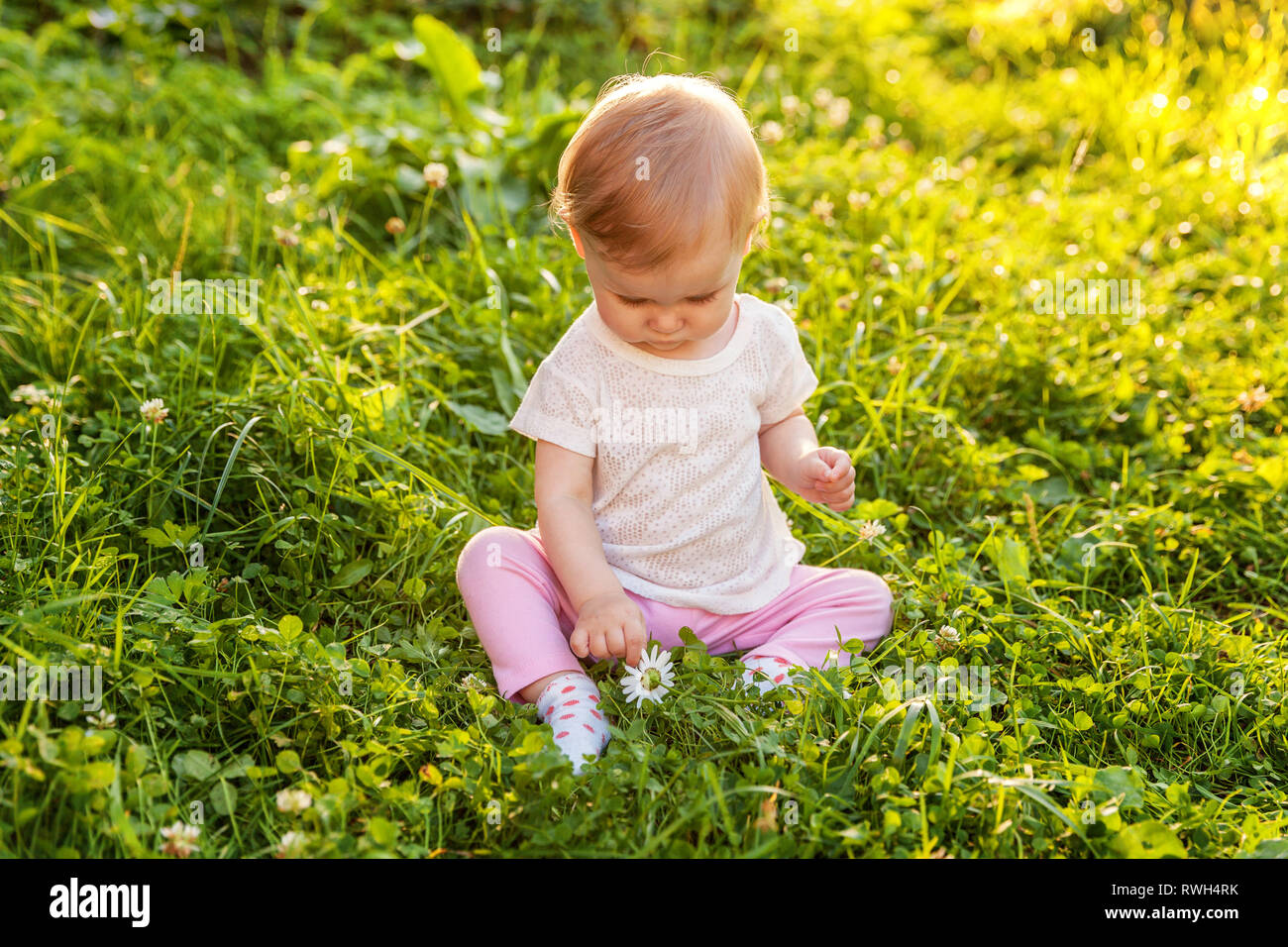 Sweet happy little baby girl sitting on grass in park, garden, meadow ...