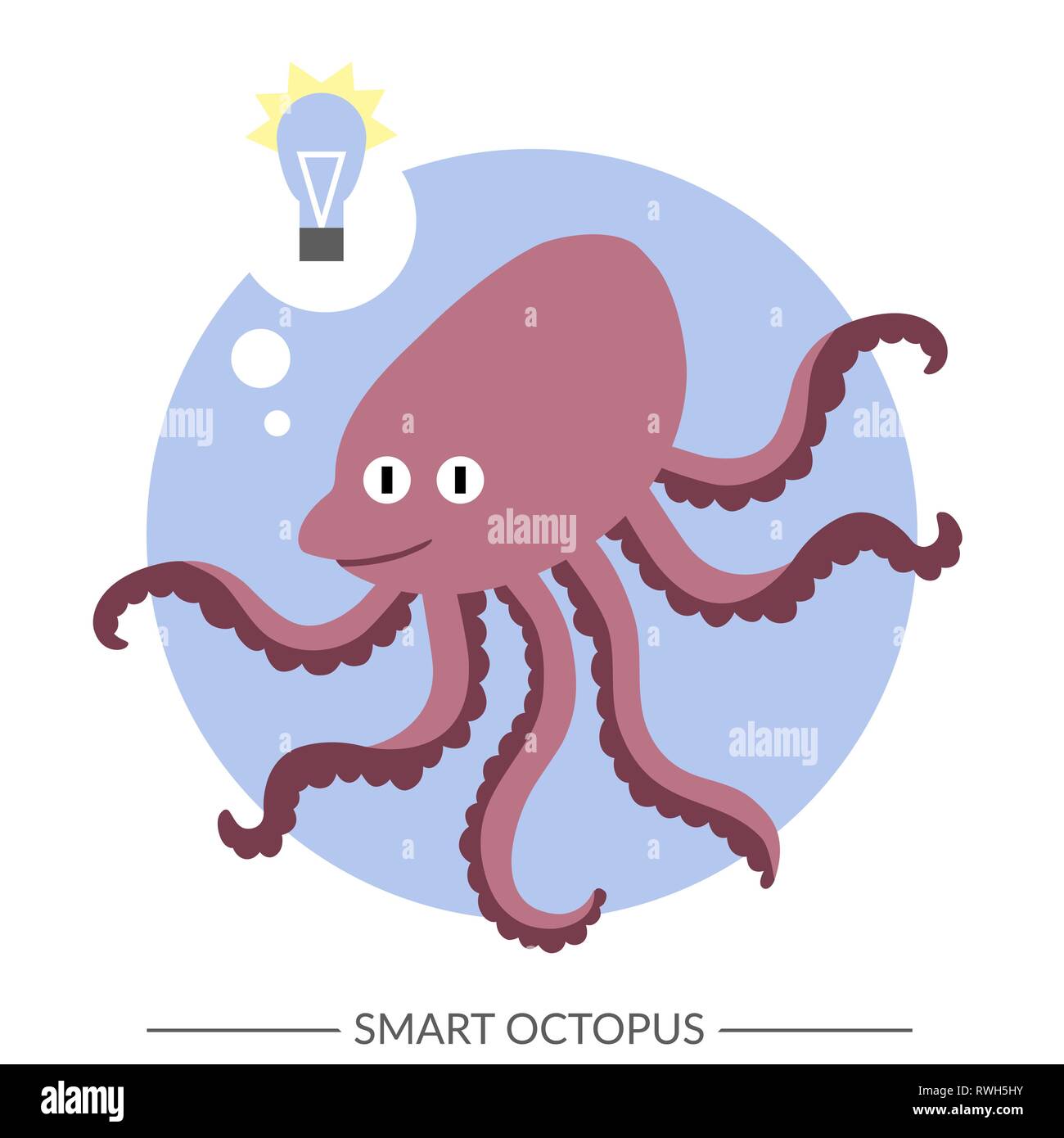 how smart are octopus how smart are octopus