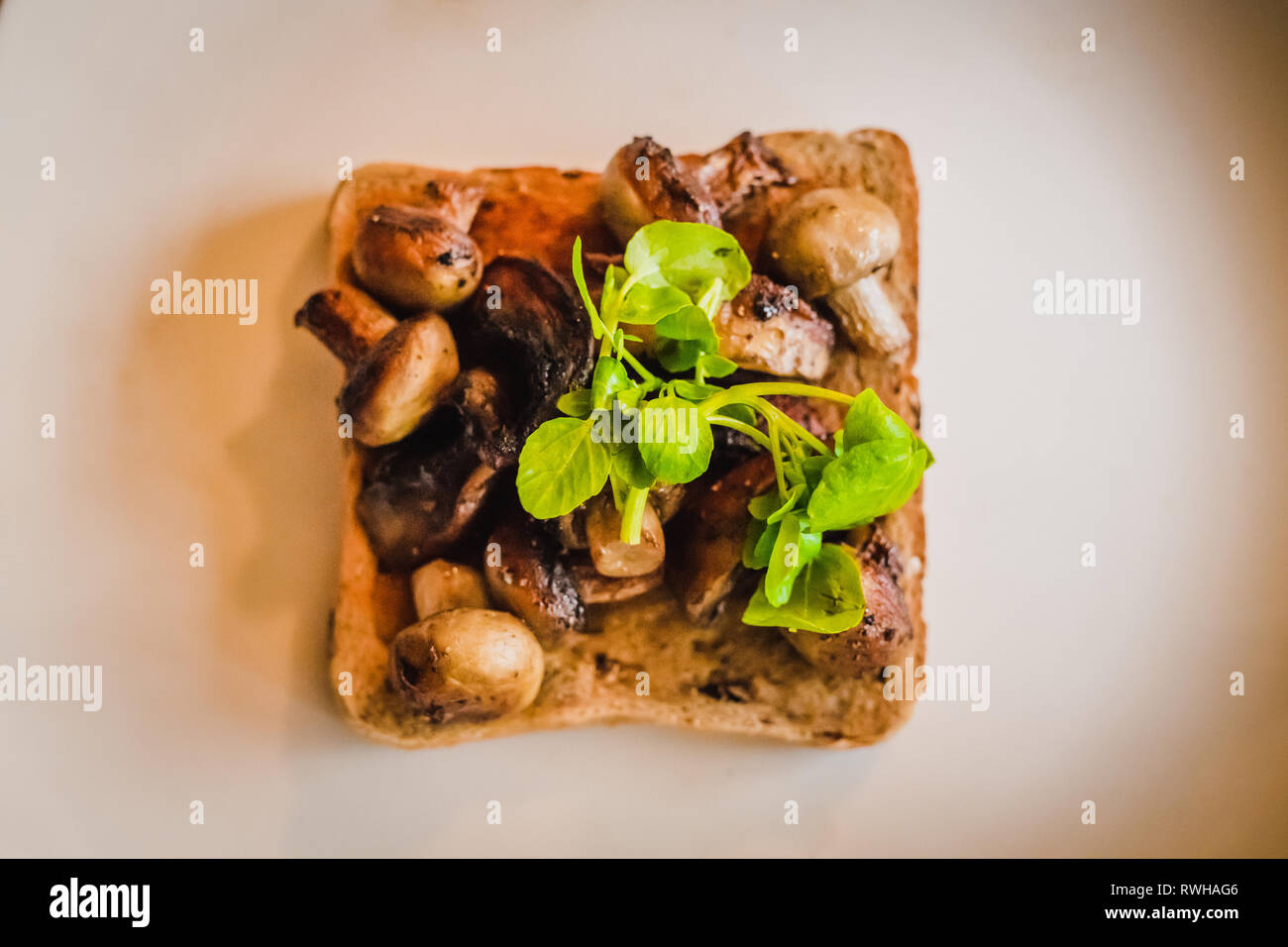 Mushroom on Toast Stock Photo