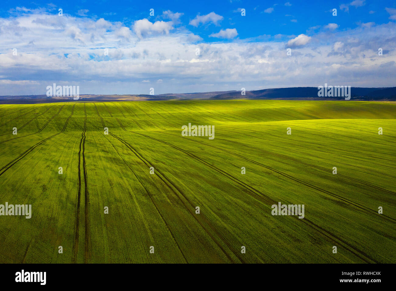 Rural landscape: green field and picturesque clouds in the sky Stock ...