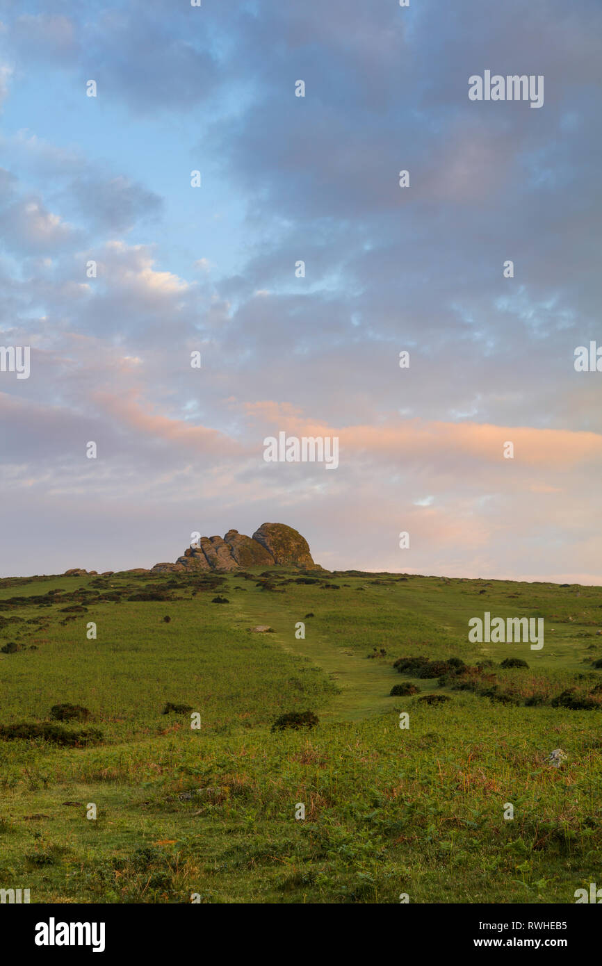 Haytor or Haytor Rocks on Dartmoor in Devon at dawn Stock Photo