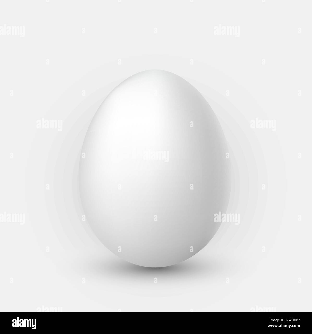 Realistic white egg with shadow on white background. Stock Vector