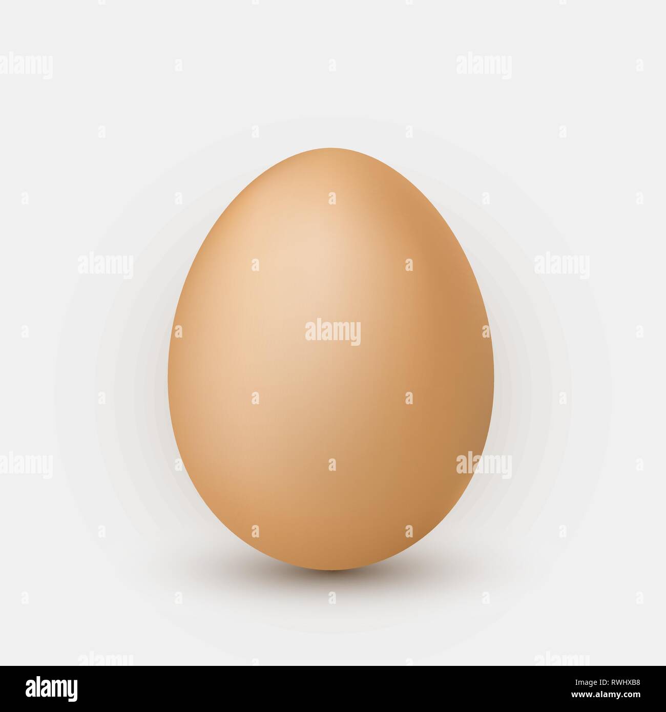 Realistic brown egg with shadow on white background. Stock Vector