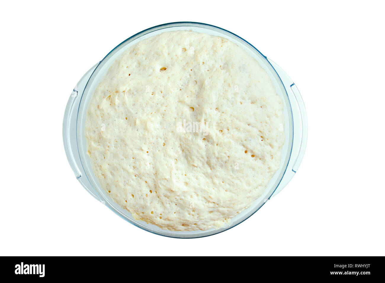 Yeast dough from wheat flour. In a glass dish. View from above. White