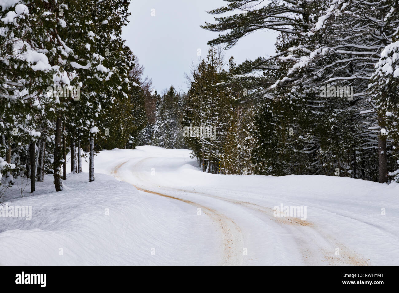 The road into Cyprus Lake Campground, Bruce Peninsula National Park, is a winter wonderland on a snowy day. Cyprus Lake, Ontario, Canada Stock Photo