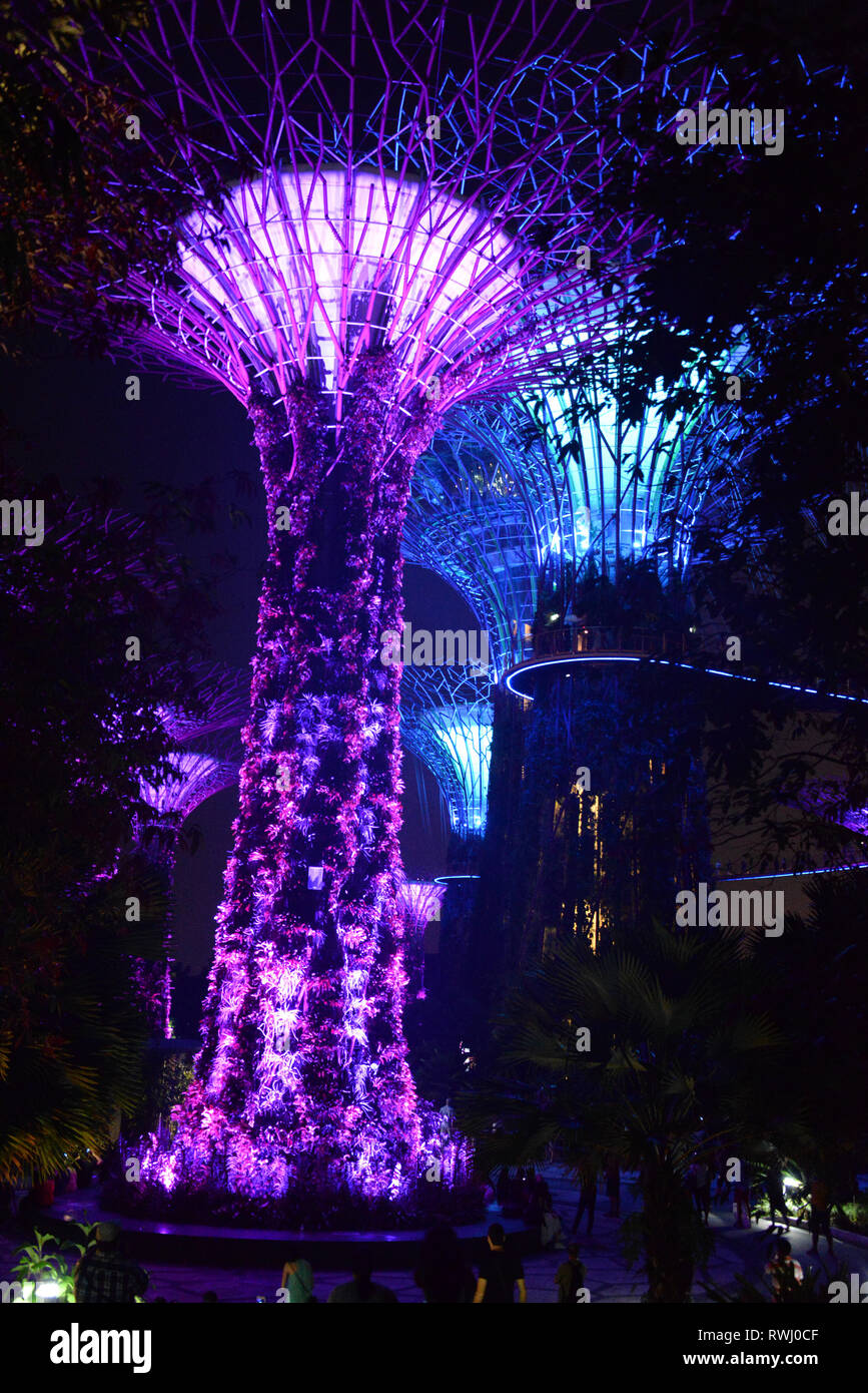 Asia, Singapore, Gardens by the Bay Stock Photo