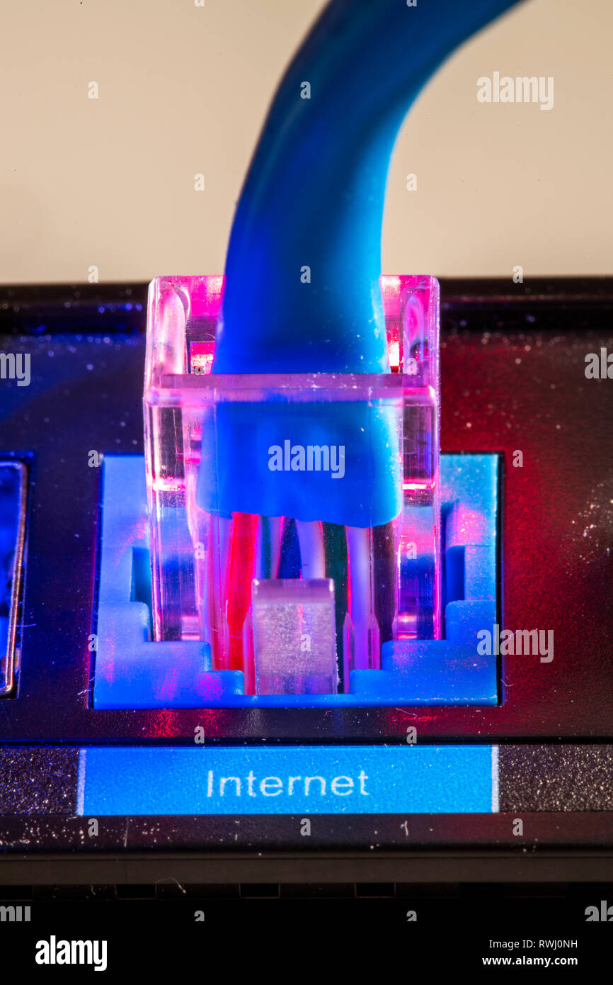 Internet connection, RJ45 plug, LAN cable, patch cable, in an Internet ...