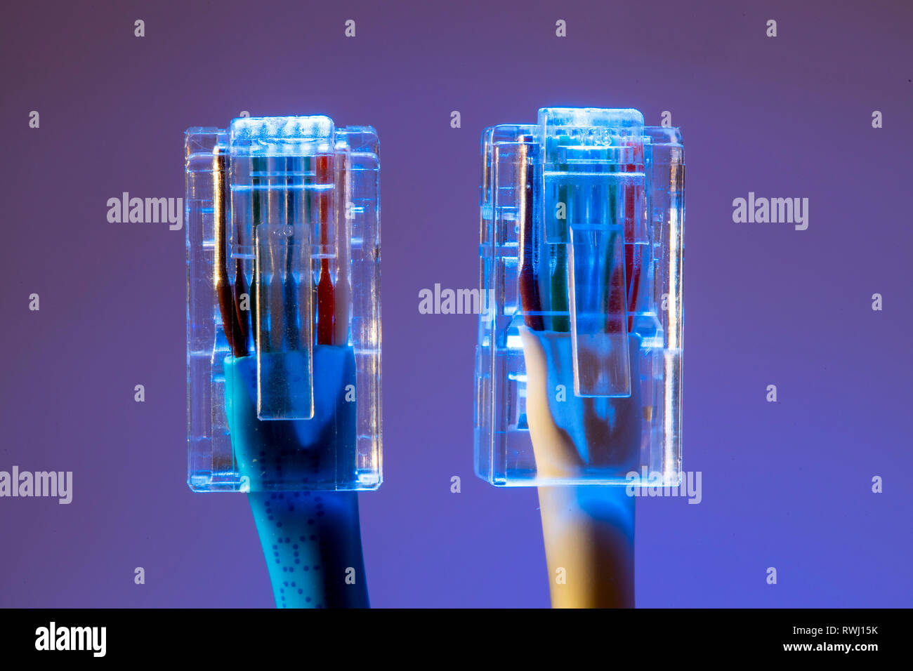 Internet connection, RJ45 plug, LAN cable, patch cable, Ethernet, Stock Photo