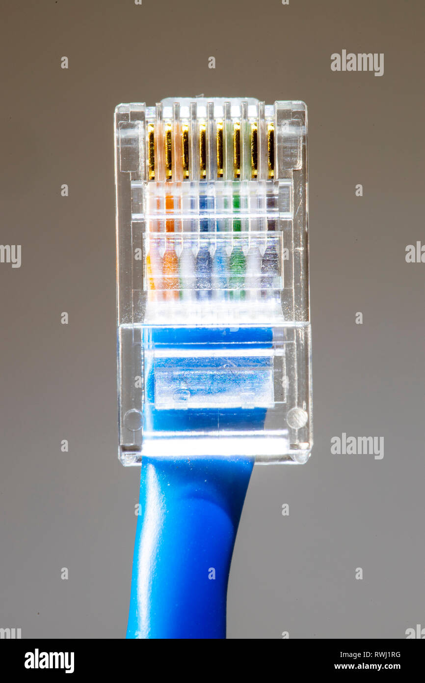 Internet connection, RJ45 plug, LAN cable, patch cable, Ethernet Stock  Photo - Alamy